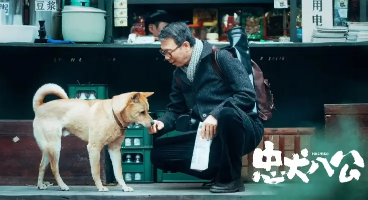 在国外腾讯视频看不了